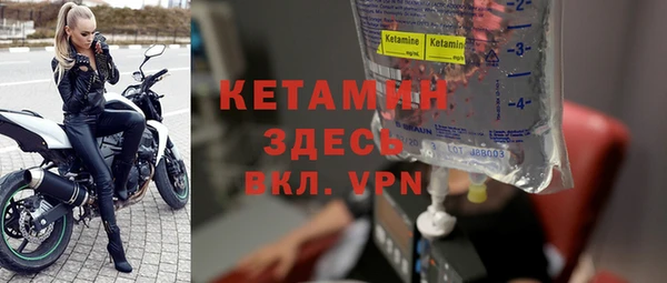индика Вяземский