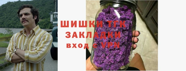 индика Вяземский