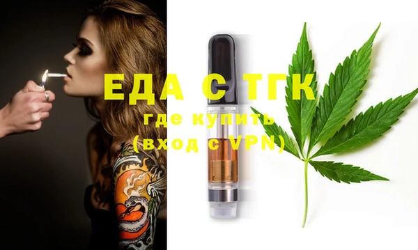 индика Вяземский