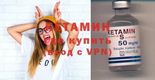 индика Вяземский