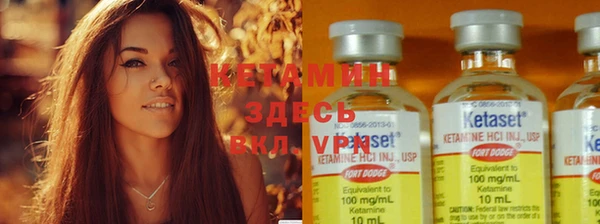 индика Вяземский