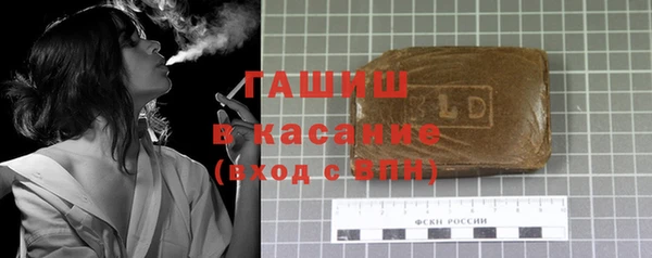 индика Вяземский