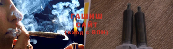 индика Вяземский
