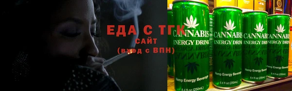 индика Вяземский