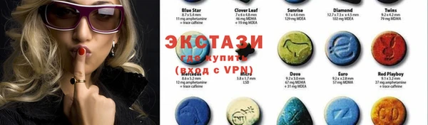 индика Вяземский