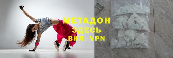 индика Вяземский