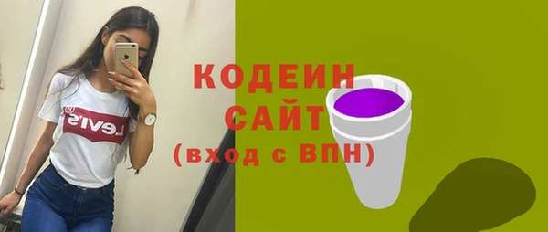 индика Вяземский