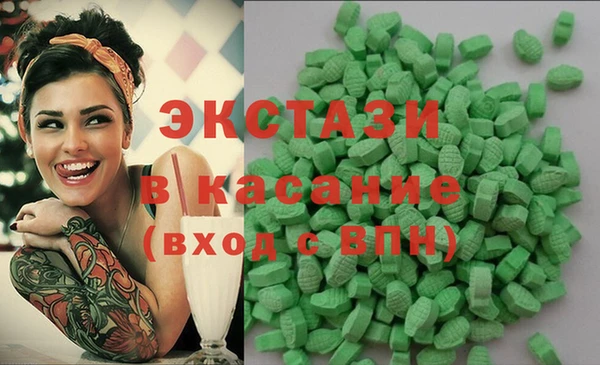 индика Вяземский