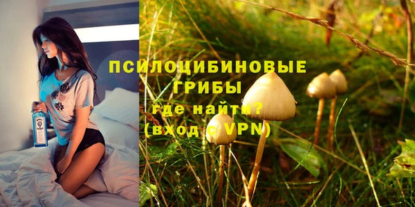 spice Вязники