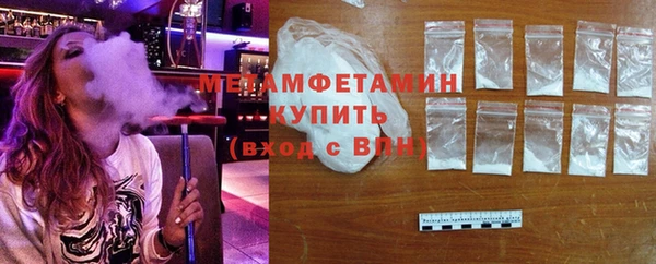 индика Вяземский