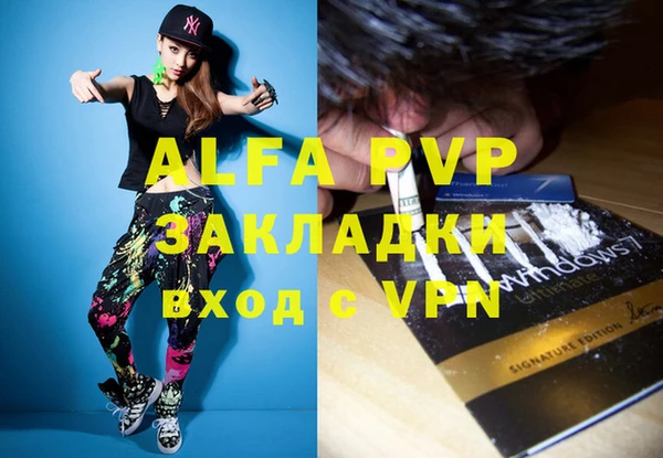 индика Вяземский