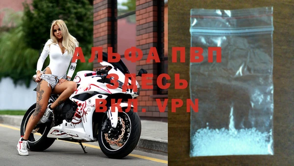 spice Вязники