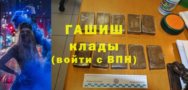 индика Вяземский