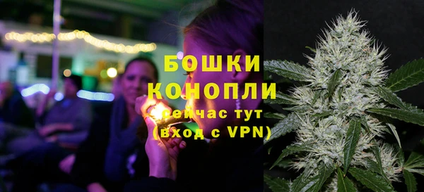 индика Вяземский
