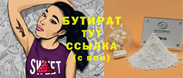 индика Вяземский